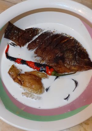 Foto resep Terong kuah santan
