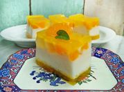 Gambar puding busa orange