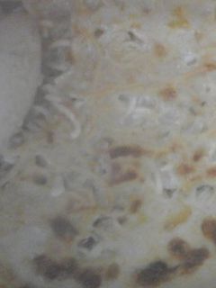 صورة لوصفة معكرونة بالشاميل (دايت)