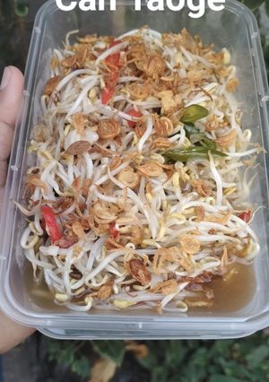 Foto resep Tumis Taoge