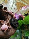 Bolu kukus Chocolatoss