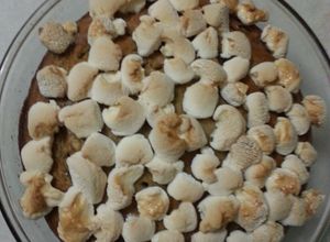 Foto resep Eggless Banana Yogurt with Marshmallows on top #nomixer