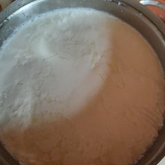 Homemade Curd A picture of Homemade Curd.