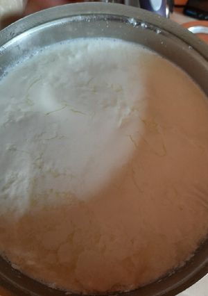 A picture of Homemade Curd.