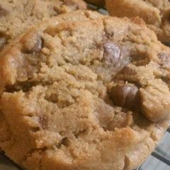 A picture of Sunshine's peanut butter chocolate chip cookies.