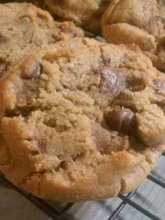 A picture of Sunshine's peanut butter chocolate chip cookies.