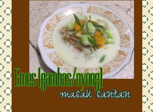 Foto resep Sayur Emes Masak Santan