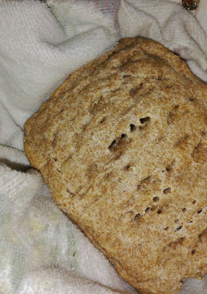 Una foto de Pan de molde integral fácil y sin reposo