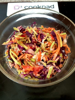 A picture of My Rainbow Coleslaw 😋.