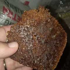 รูปของ Bolu karamel a.k.a sarang semut