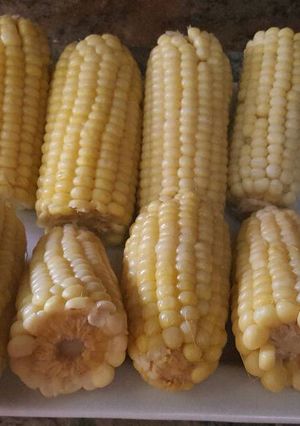 Una foto de Elotes cocidos, para fiesta