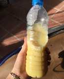 Sữa bí ngô + hạt sen