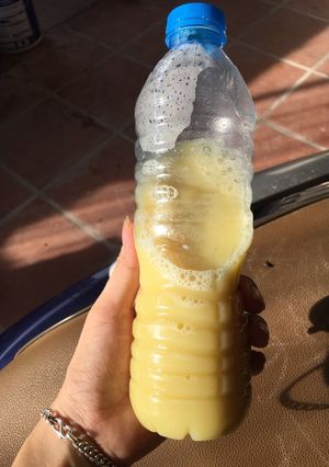 Hình của món Sữa bí ngô + hạt sen.
