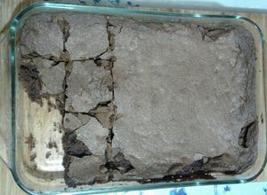 Una foto de Brownies de chocolate con nuez