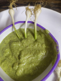 લીલા લસણ ની ચટણી (Lila Lasan Chutney Recipe In Gujarati) રેસીપી મુખ્ય ફોટો
