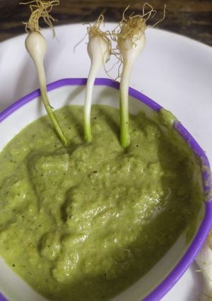 લીલા લસણ ની ચટણી (Lila Lasan Chutney Recipe In Gujarati) રેસીપી મુખ્ય ફોટો