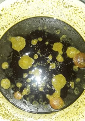 عکسی از دستور قرمه سبزی