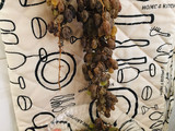 کشمش خانگی