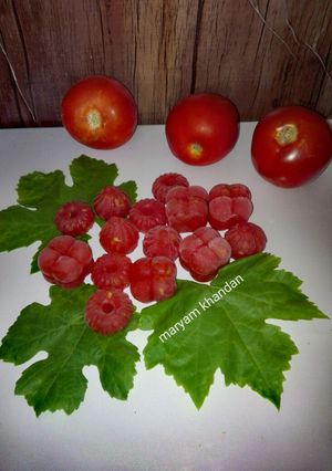 عکسی از دستور فریز کردن پوره گوجه فرنگی به روش آسان (دور نریزیم)