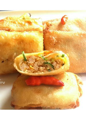Foto resep Matabak Telur Tahu Mix Sayur