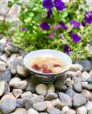 Yến Sào Chưng Ý Dĩ Táo Đỏ Nhãn Nhục