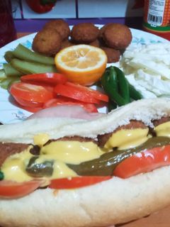 عکسی از دستور فلافل جنوبی