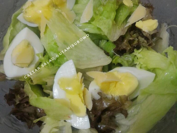 Cara Gampang Membikin Resep Caesar salad yang Bisa Manjain Lidah Anti Ribet, Menggugah Selera