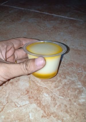 Foto resep #1 Puding ABC Squash