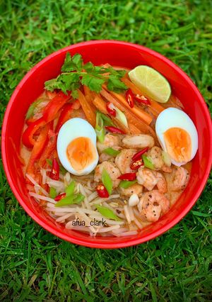A picture of Laksa soup.