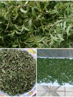 عکسی از دستور نعناع...سبزی وگیاهی شفابخش🌹🌹🌹