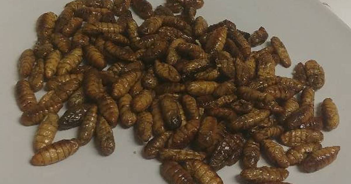 Bug Bites: Wok-Fried Wax Worms 