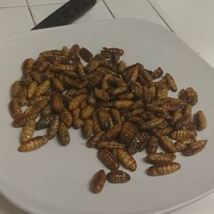 A picture of Fried silk worms.