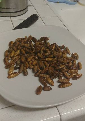 A picture of Fried silk worms.