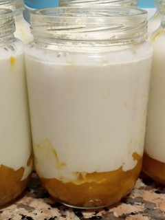 Una foto de Yogures de mango y naranja (sin aparatos)