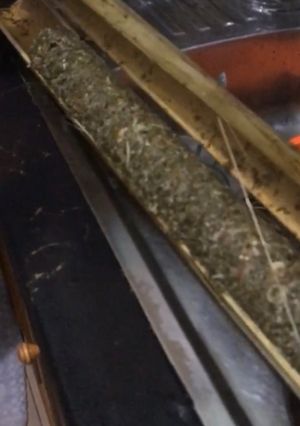 Foto resep Cincangdaunsingkongbakardibambu
