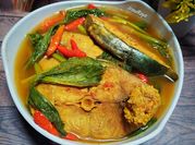 Gambar lempah kuning tenggiri