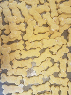 A picture of Pumpkin Peanut Butter Dog Biscuits.