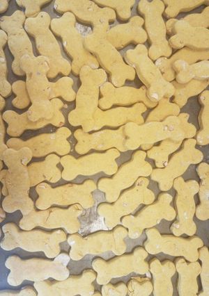 A picture of Pumpkin Peanut Butter Dog Biscuits.