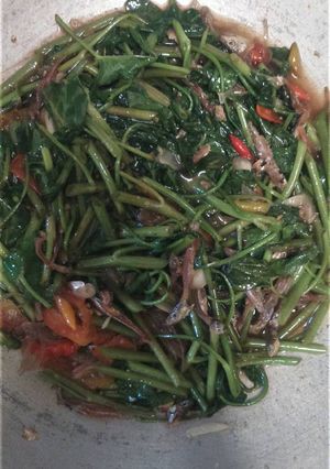 Foto resep Tumis Kangkung Teri Goreng