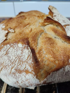 Una foto de Bolo (bollo) de trigo, pan de trigo