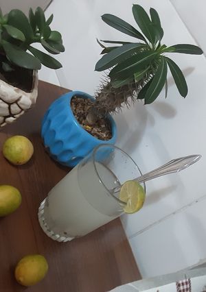 عکسی از دستور 💜موهیتو به روش آسان💜