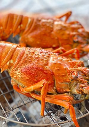 Hình của món Tôm Hùm Nướng Lửa Than.