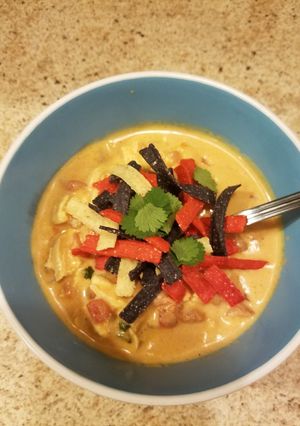 A picture of Chunky chicken tortilla soup.