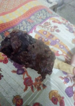 A picture of Oreo kulfi.