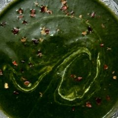A picture of Cream of Spinach Soup 🍲.
