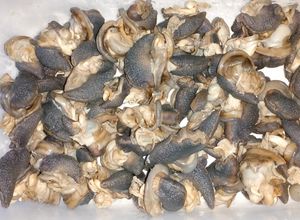 Foto resep Cara membersihkan bekicot supaya siap masak