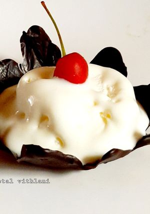 વેનીલા આઈસ્ક્રીમ in ચોકલેટ બોલ(Vanilla icecream chocolate ball Recipe in Gujarati) રેસીપી મુખ્ય ફોટો