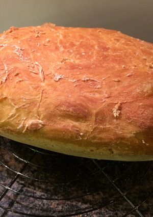 Foto resep No Kneading Bread