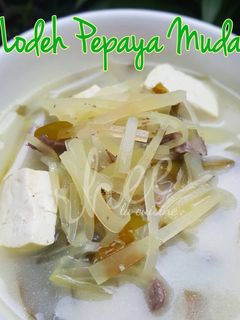 Foto resep Lodeh Pepaya Muda