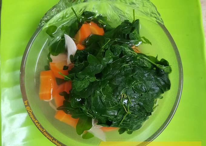 Resep 39 Sayur Daun Kelor Oleh Dapur🥘kebun Tanpa Lahan🍀🥗 Cookpad